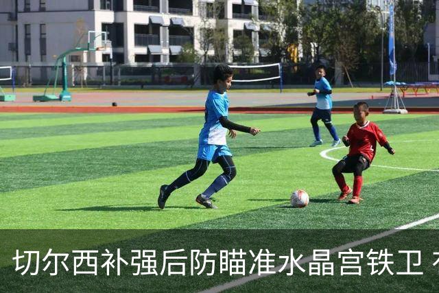 切尔西补强后防瞄准水晶宫铁卫 有合适报价可出售查洛巴