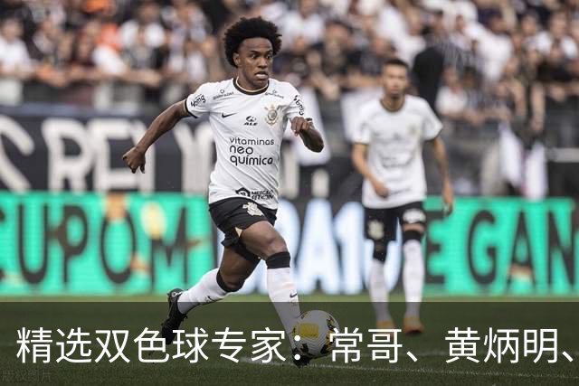 精选双色球专家：常哥、黄炳明、陈哲宇同中781万